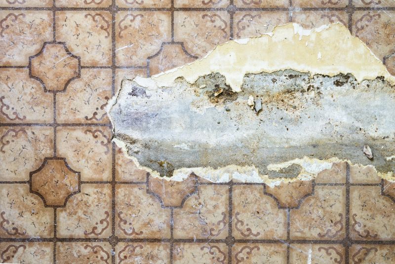 Damaged Subfloor Sections